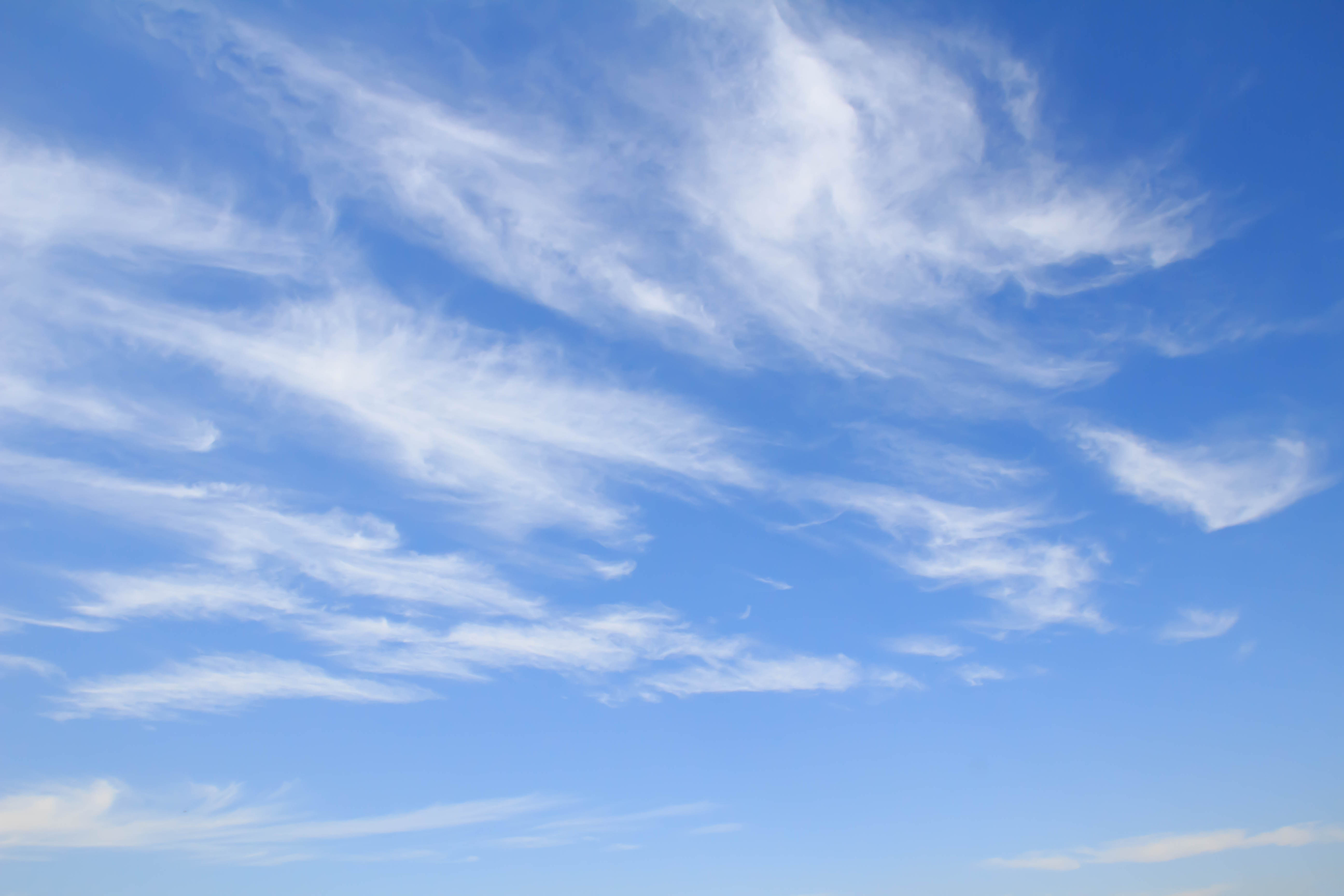 autumn sky